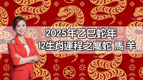 2025蛇|屬蛇/馬/羊生肖運程2025｜蛇年屬蛇情緒易不穩、屬羊比較平